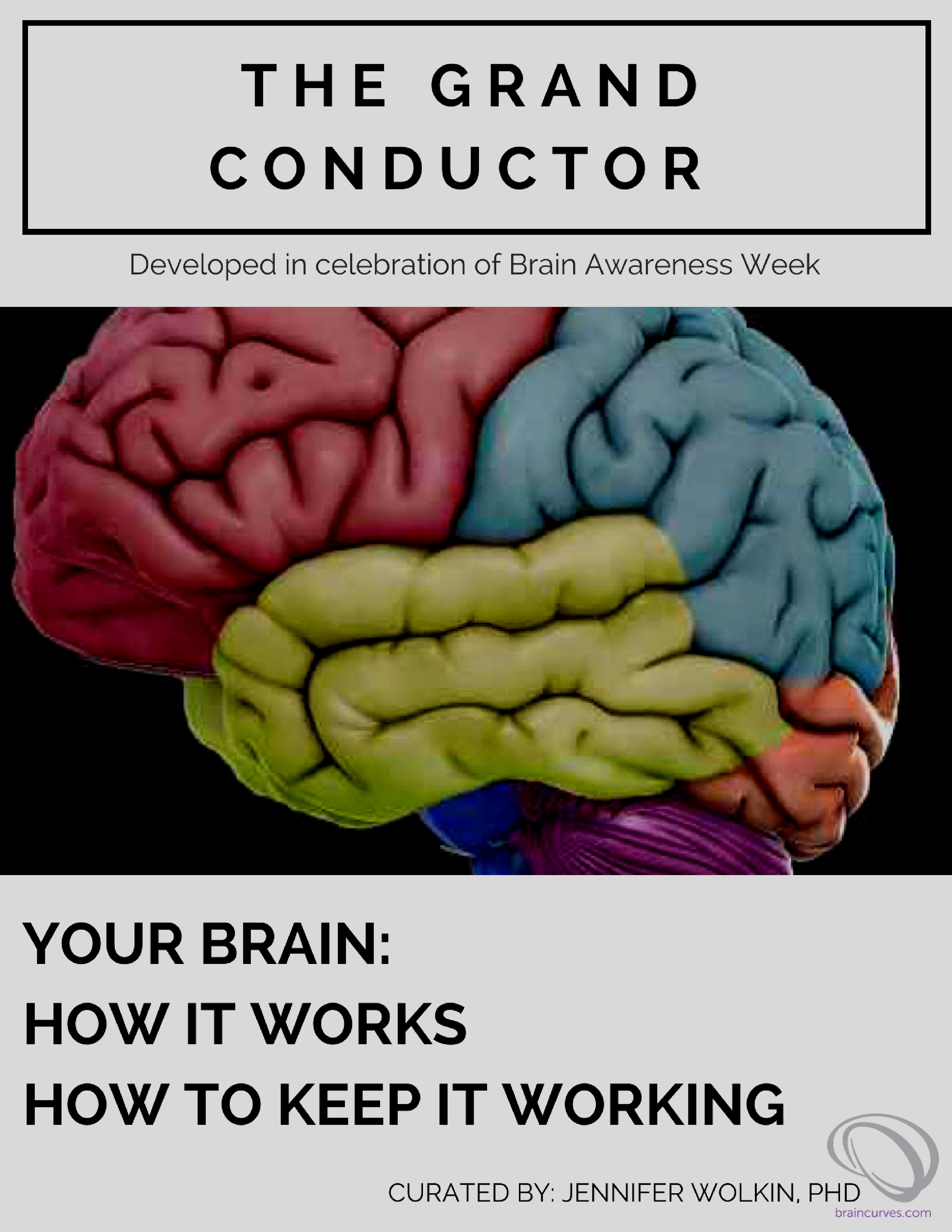 www.braincurves.com (2)